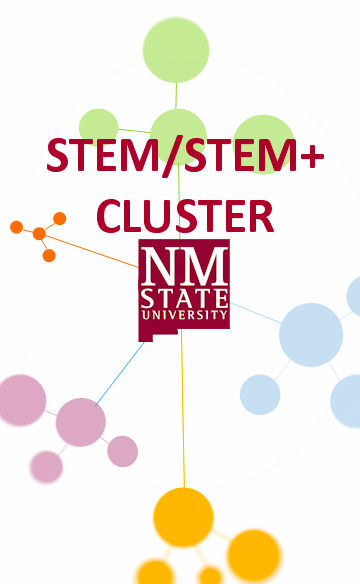 STEM_Cluster22.jpg