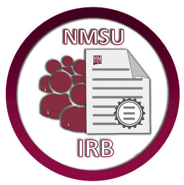 irb-logo-2021b.jpg